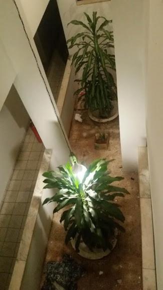 New Byblos Hotel Brasília Ngoại thất bức ảnh